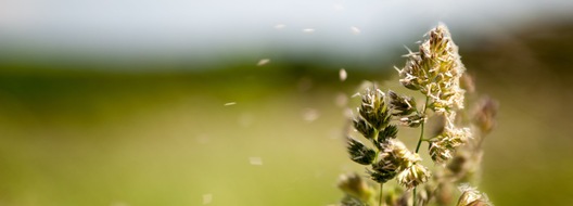 aha! Allergiezentrum Schweiz / aha! Centre d'Allergie Suisse: Jahresbericht 2024 | Rapport annuel 2024 | Rapporto annuale 2024