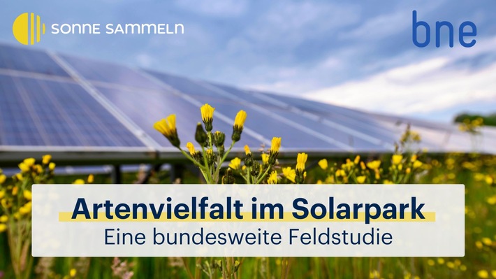Solarparks unterstützen die Artenvielfalt in unserer Kulturlandschaft